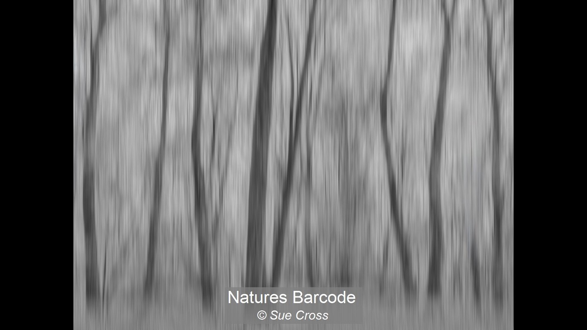 Natures Barcode